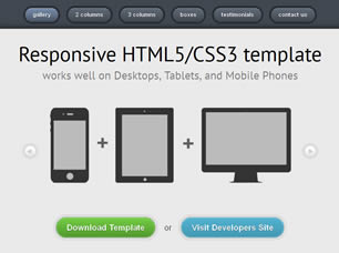 Preview responsive - FREE HTML CSS JavaScript Template