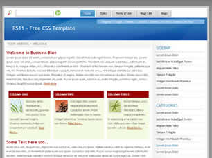 Preview rs11 - FREE HTML CSS JavaScript Template