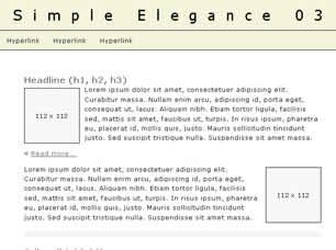 Preview simple elegance 03 - FREE HTML CSS JavaScript Template