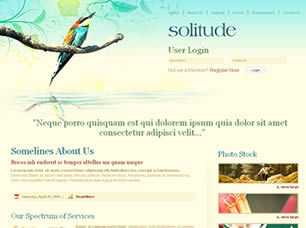 Preview solitude - FREE HTML CSS JavaScript Template