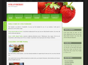 Preview strawberry - FREE HTML CSS JavaScript Template