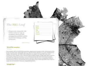 Preview the big leaf - FREE HTML CSS JavaScript Template