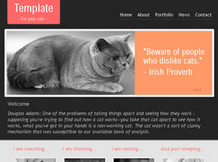 Preview the cat - FREE HTML CSS JavaScript Template