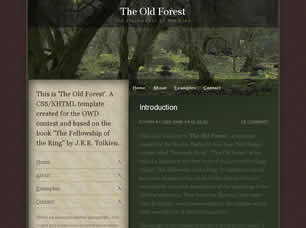 Preview the old forest - FREE HTML CSS JavaScript Template