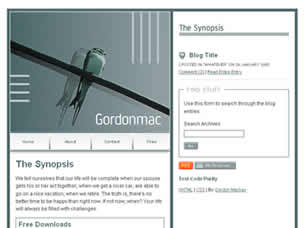 Preview the synopsis - FREE HTML CSS JavaScript Template