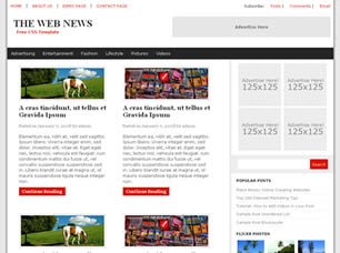 Preview the web news - FREE HTML CSS JavaScript Template