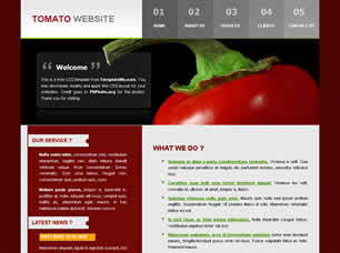 Preview tomato - FREE HTML CSS JavaScript Template