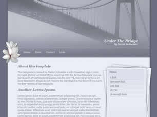 Preview under the bridge - FREE HTML CSS JavaScript Template