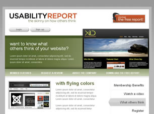 Preview usabilityreport - FREE HTML CSS JavaScript Template