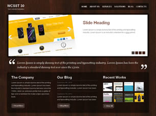 Preview wcsst 30 - FREE HTML CSS JavaScript Template