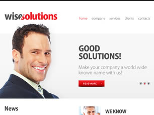 Preview wise solutions - FREE HTML CSS JavaScript Template