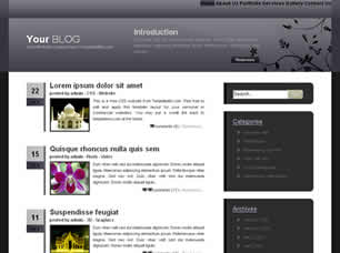 Preview your blog - FREE HTML CSS JavaScript Template