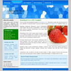 Preview 003 - FREE HTML CSS JavaScript Template