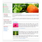 Preview 008 salad - FREE HTML CSS JavaScript Template