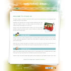 Preview 049 studio - FREE HTML CSS JavaScript Template