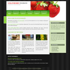 Preview 085 strawberry - FREE HTML CSS JavaScript Template