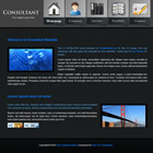 Preview 125 consultant - FREE HTML CSS JavaScript Template