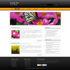 Preview 160 orange bar - FREE HTML CSS JavaScript Template