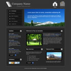 Preview 162 gray company - FREE HTML CSS JavaScript Template