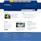 Preview 222 corporate - FREE HTML CSS JavaScript Template