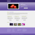 Preview 261 violet - FREE HTML CSS JavaScript Template