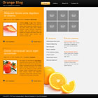 Preview 274 orange - FREE HTML CSS JavaScript Template