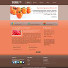 Preview 302 tomato - FREE HTML CSS JavaScript Template