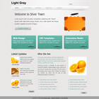 Preview 304 light gray - FREE HTML CSS JavaScript Template