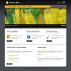 Preview 305 golden star - FREE HTML CSS JavaScript Template