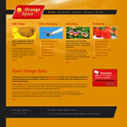 Preview 308 orange spice - FREE HTML CSS JavaScript Template