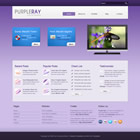 Preview 340 purple ray - FREE HTML CSS JavaScript Template