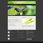 Preview 343 green jelly - FREE HTML CSS JavaScript Template