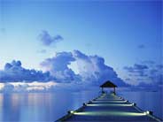 the sea