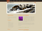 Preview orchidaceae - FREE HTML CSS JavaScript Template