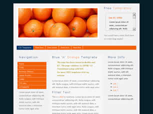 Preview blue n orange - FREE HTML CSS JavaScript Template